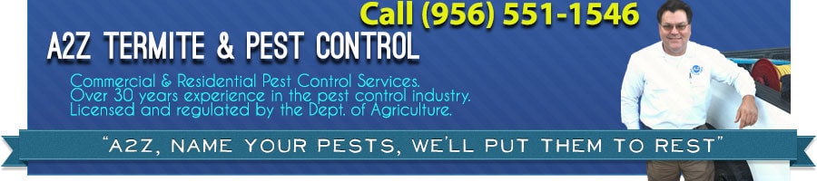 Pest Solution Brownsville Tx